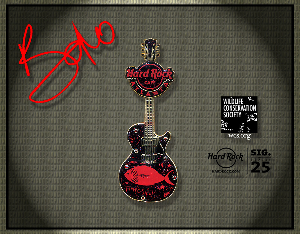 127 Bono Guitar